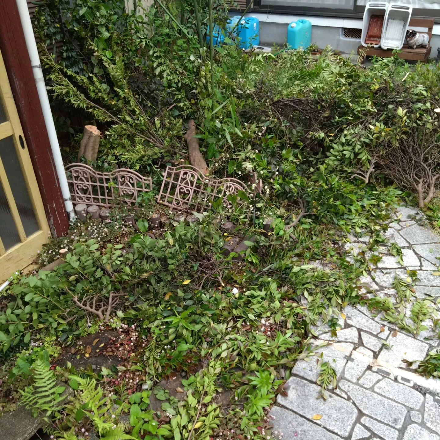 自宅の敷地内に、祖父母が使ってた空き家があって、そこを剪定し...