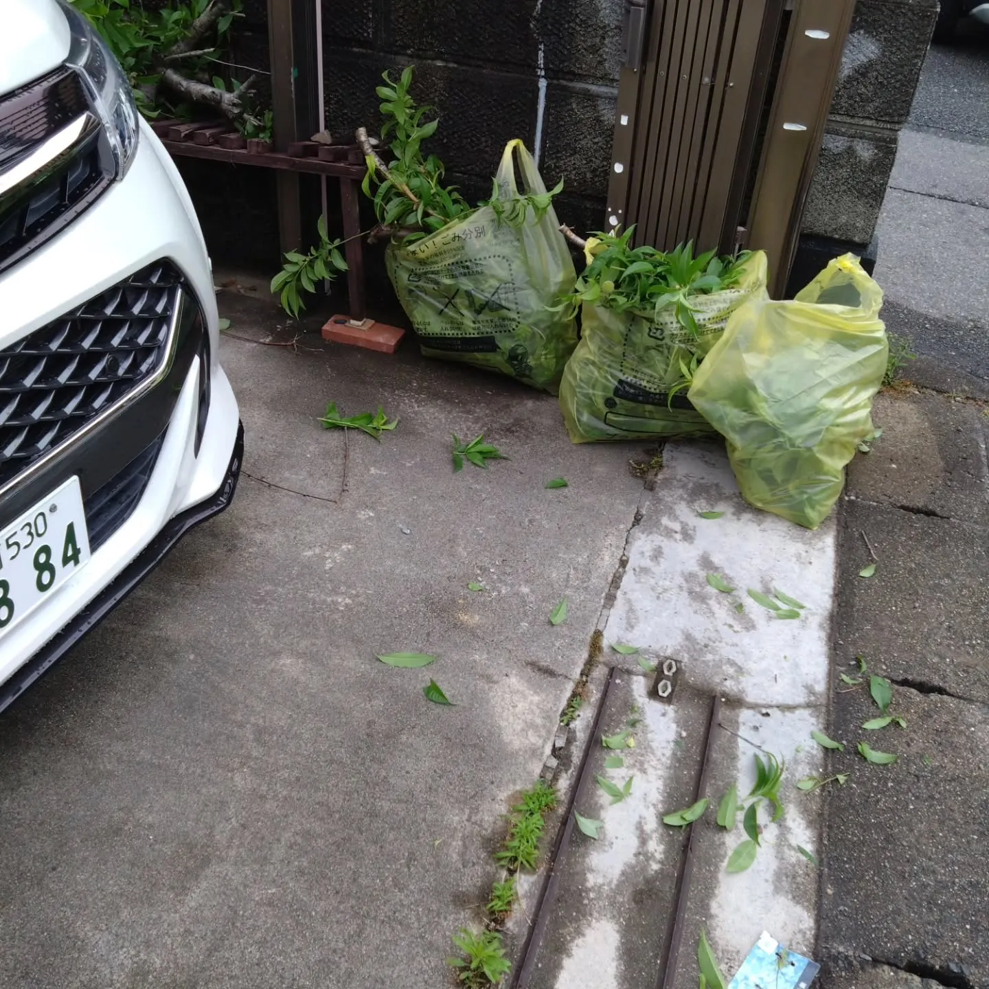 自宅の敷地内に、祖父母が使ってた空き家があって、そこを剪定し...