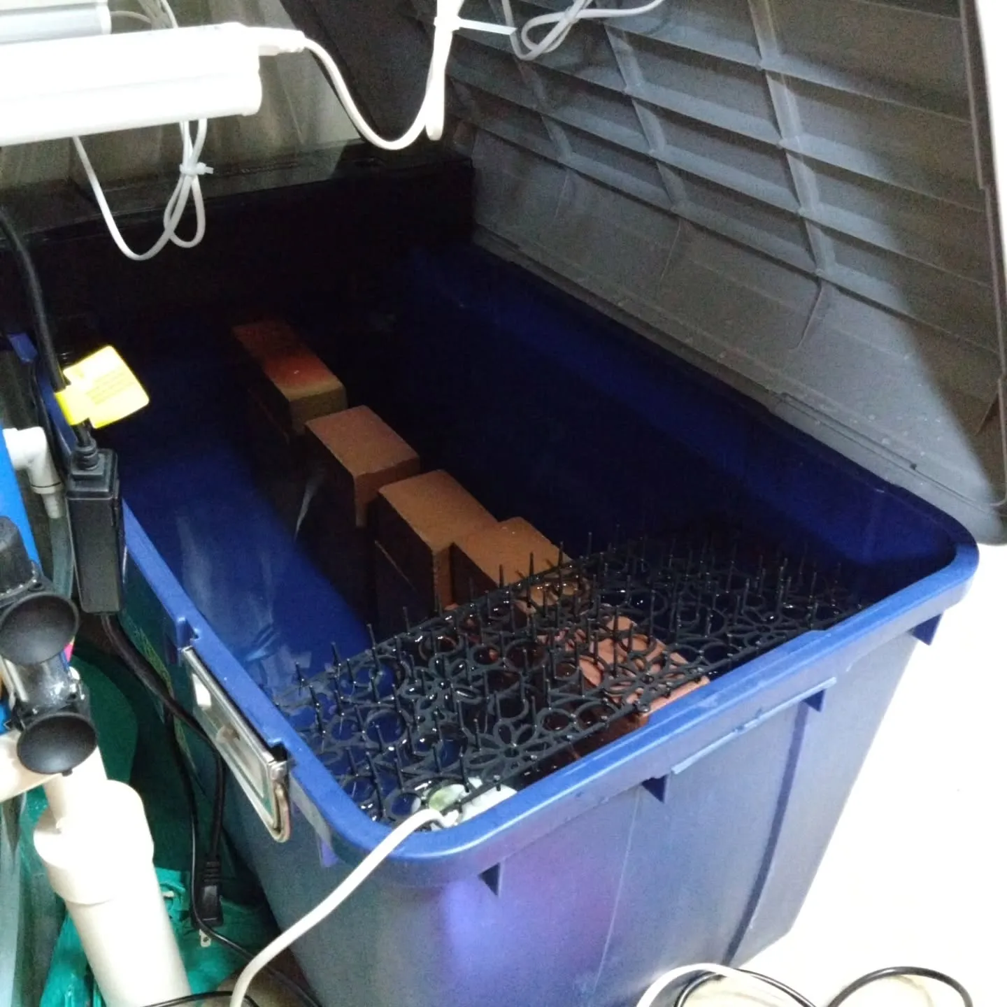 自宅の敷地内に、祖父母が使ってた空き家があって、そこを剪定し...