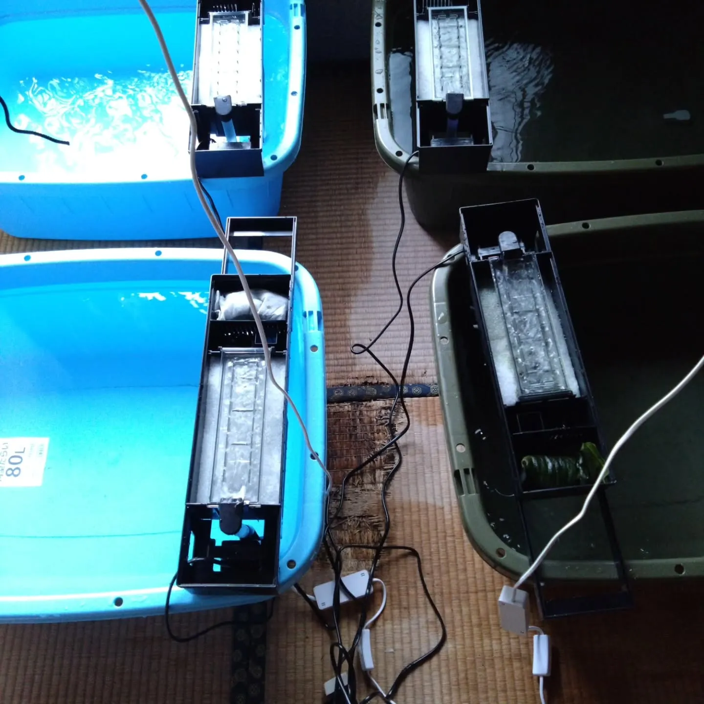 今年は戦後80年だそうですが、祖父母の家を片付けていたら、祖...