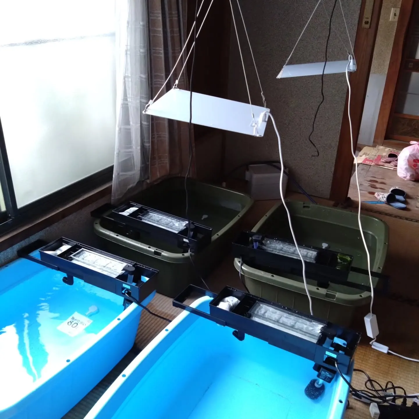 今年は戦後80年だそうですが、祖父母の家を片付けていたら、祖...