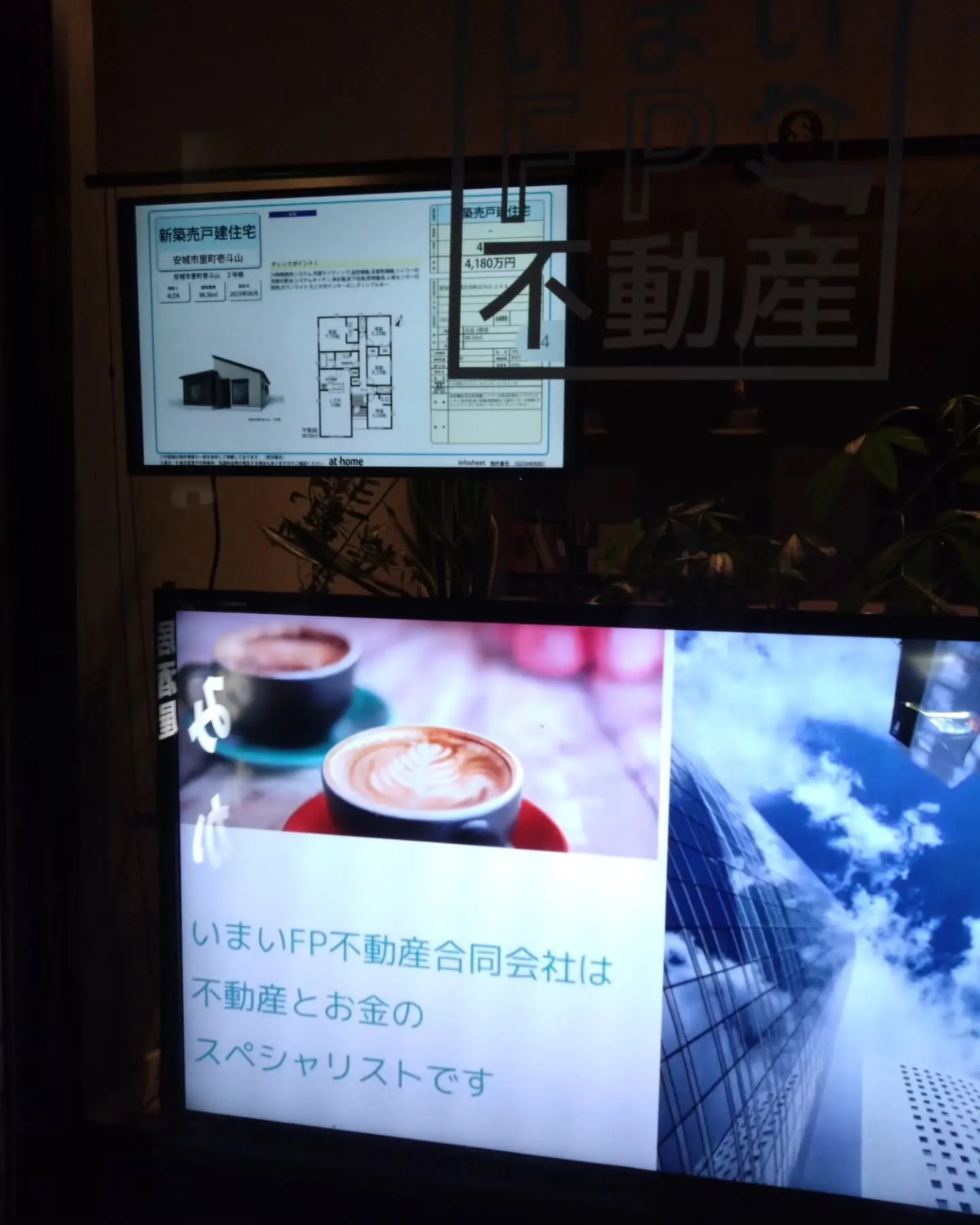 育てたパクチーを実食