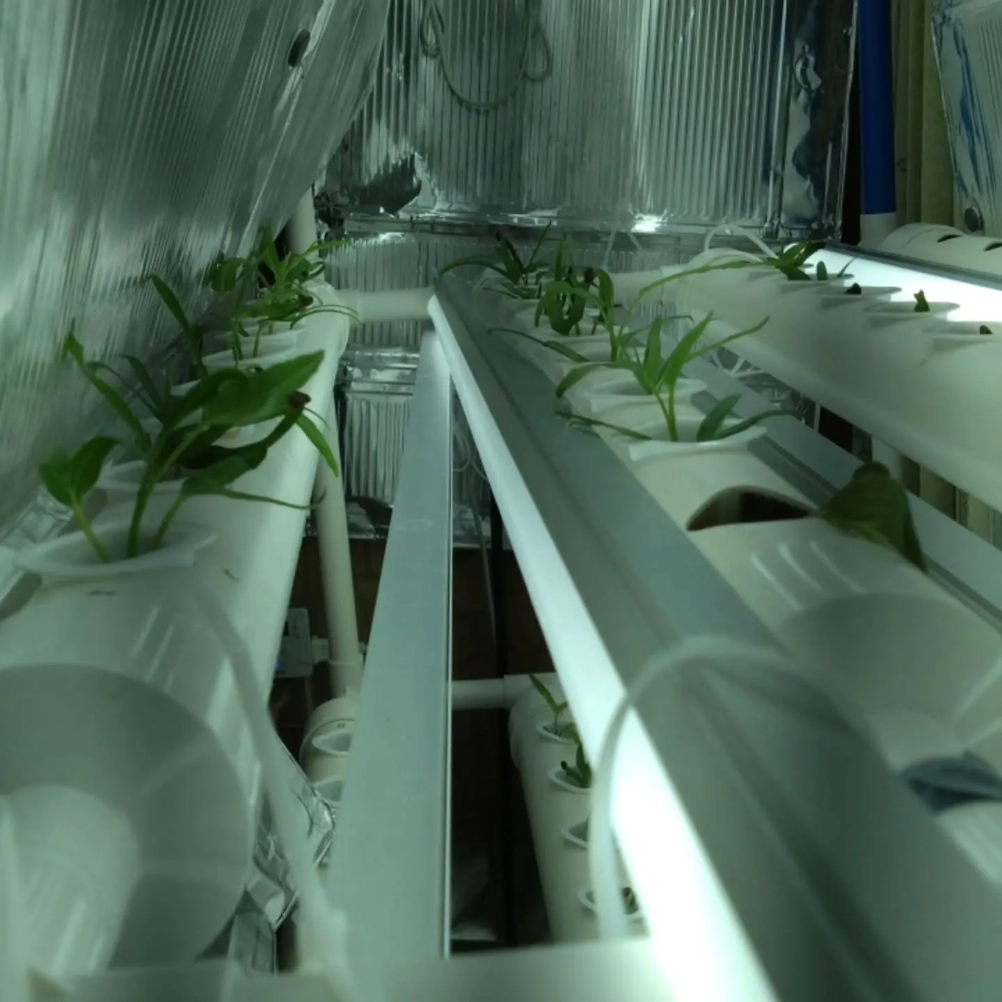 注目されてるのかも‼️