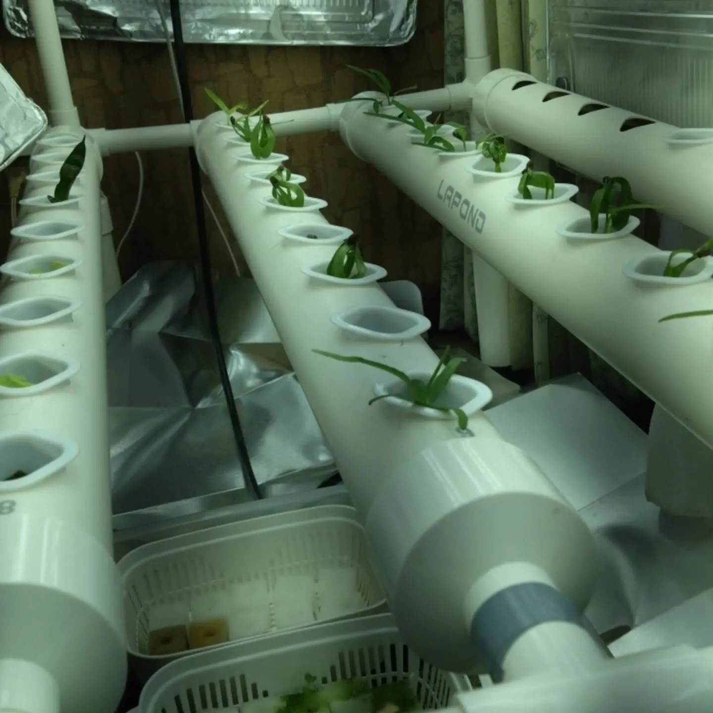 注目されてるのかも‼️