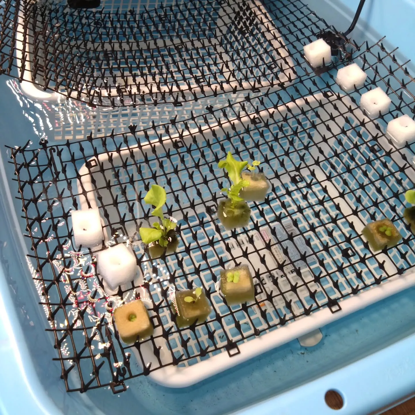 注目されてるのかも‼️