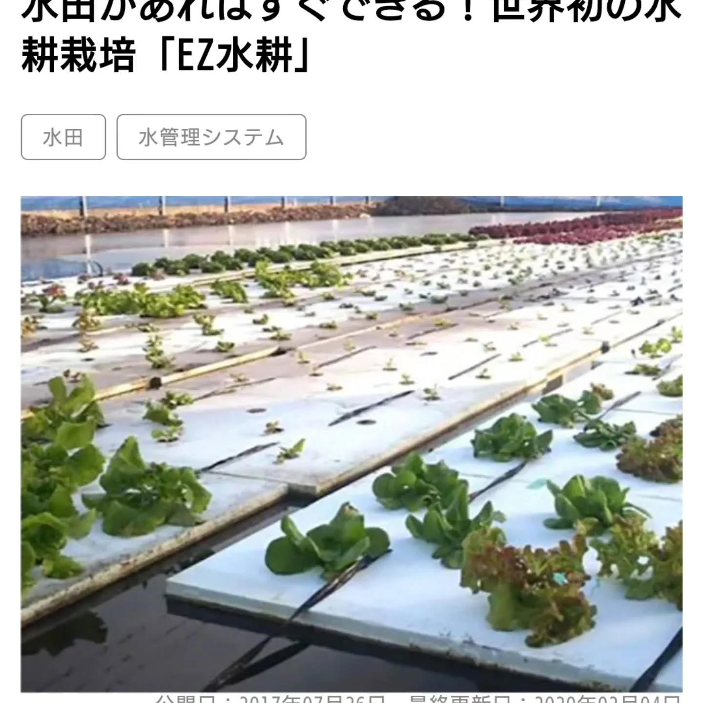 注目されてるのかも‼️