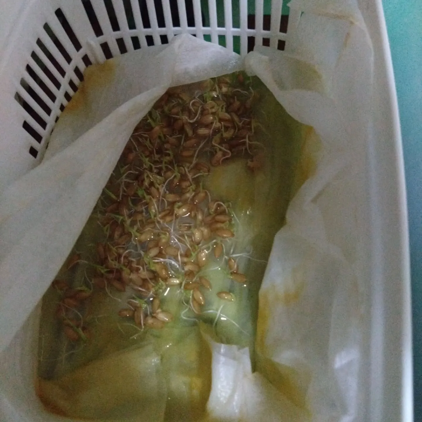 注目されてるのかも‼️