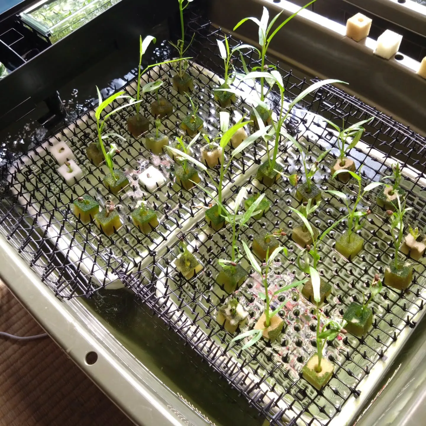 注目されてるのかも‼️