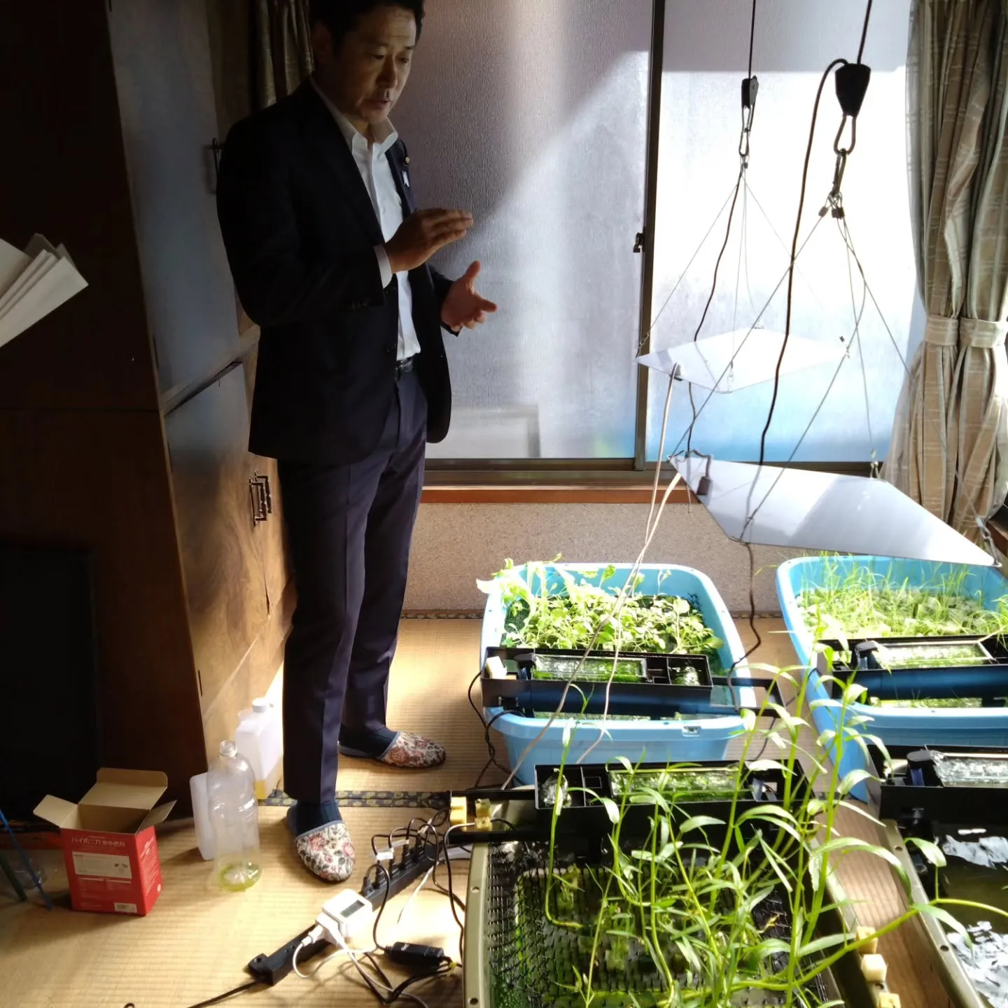 いまいFP不動産主導の、空き家を活用した水耕栽培