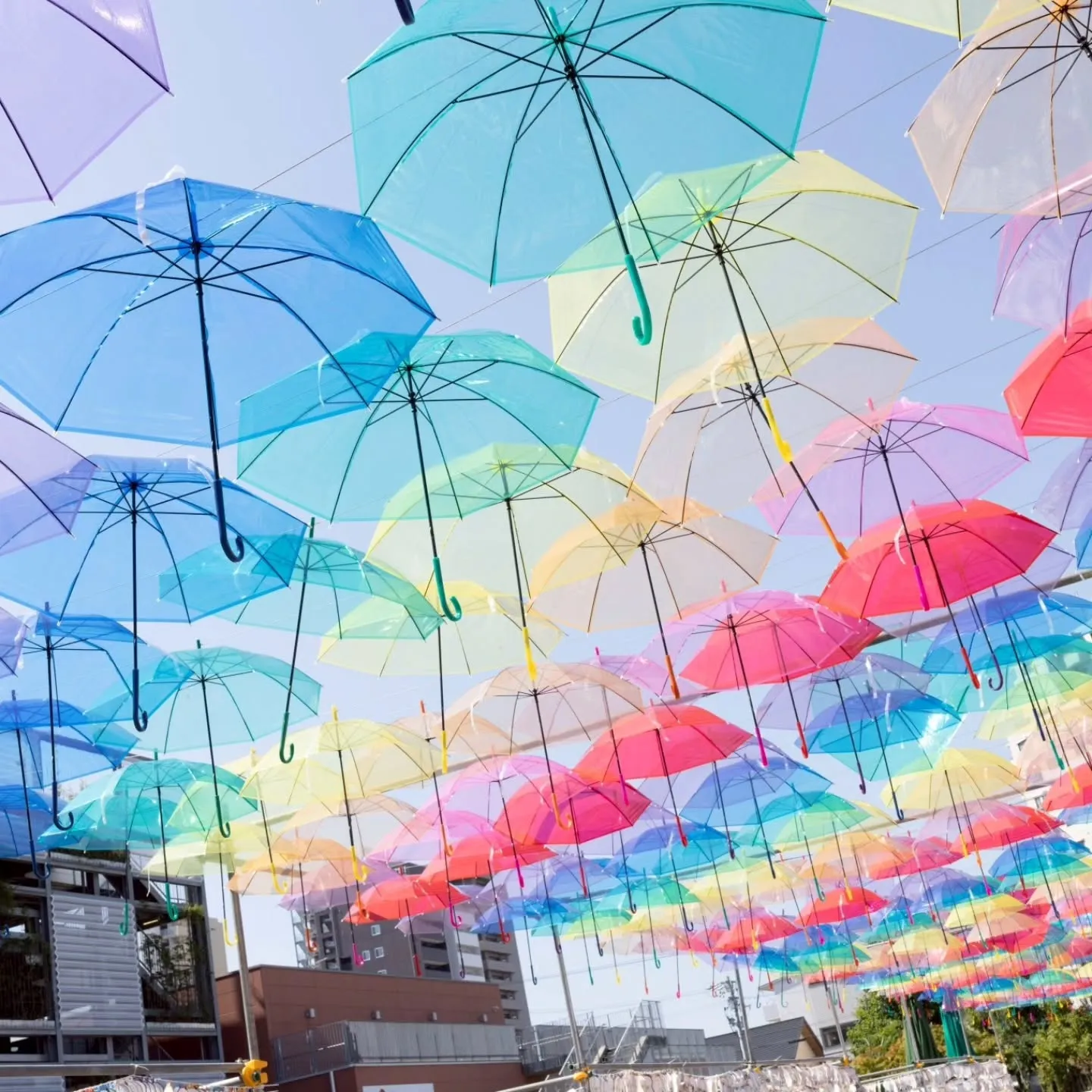 七夕まつり、グループLINEの写真より