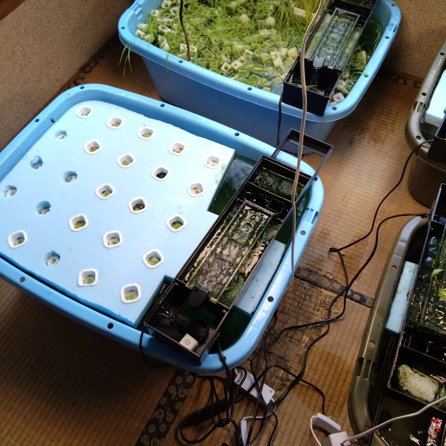 高級たまごの販路を拡げるのが終わったので小休止