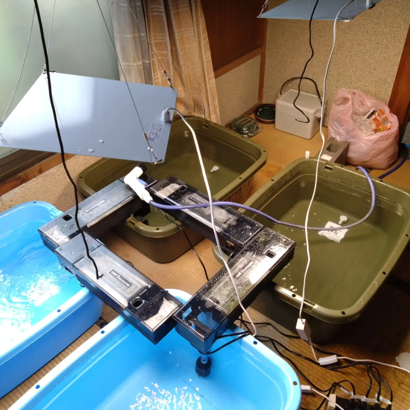 障がい者雇用セミナーに参加しました