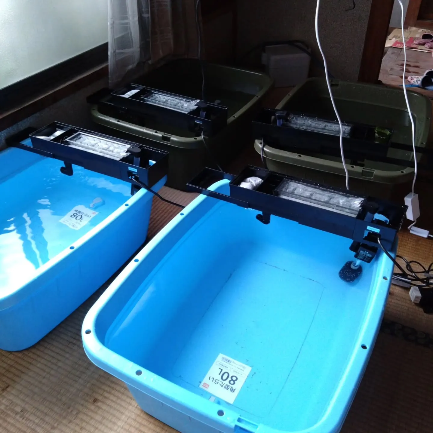 障がい者雇用セミナーに参加しました