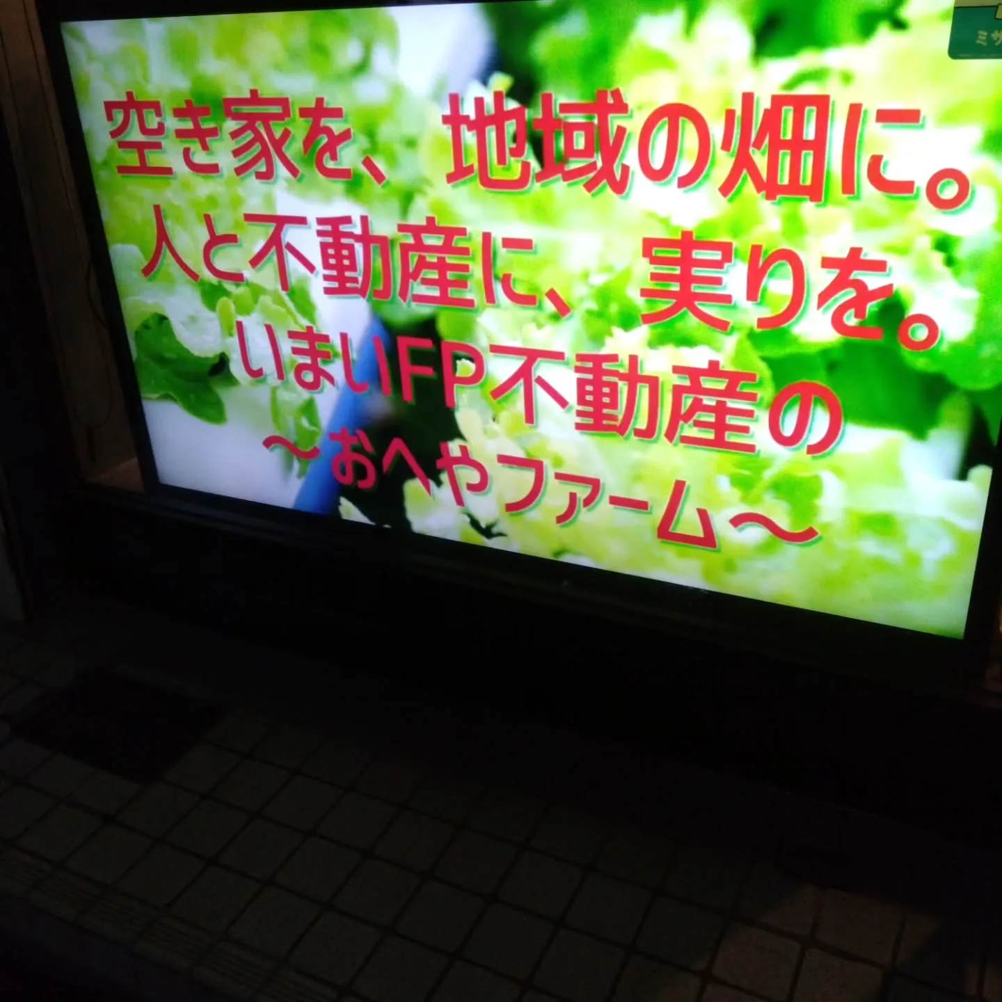 ゴールドジムの店内にあった『林の棚』が、ガチャガチャのあたり...