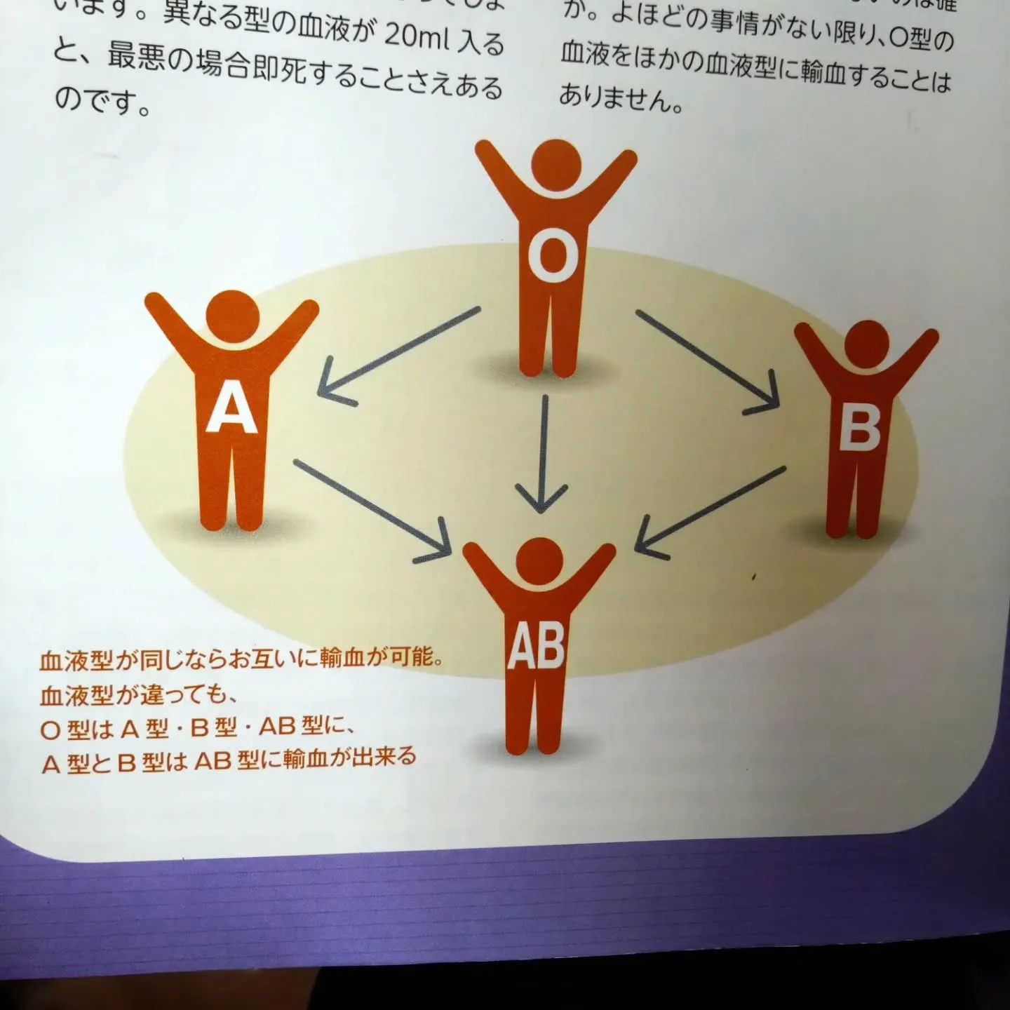 AB型は血液型の中で最弱の免疫力