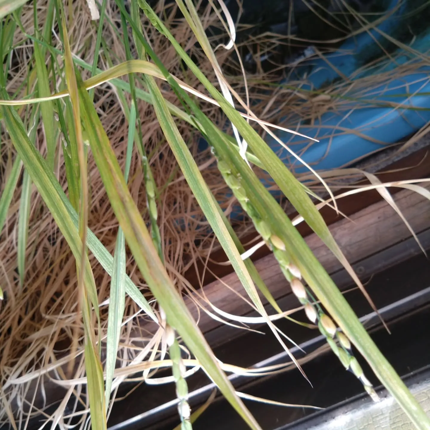 別にサイネージだけやってるわけじゃないんですよ