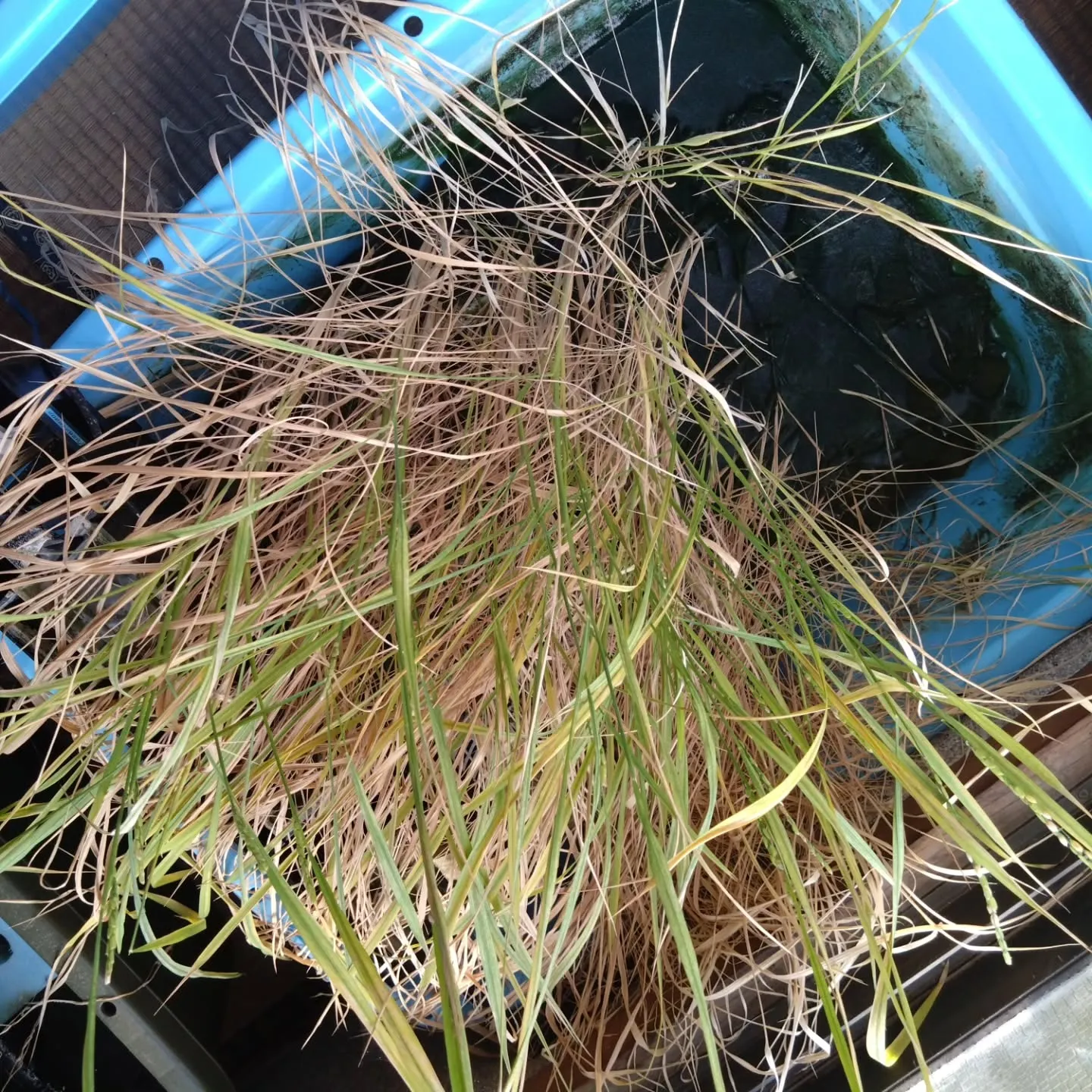 別にサイネージだけやってるわけじゃないんですよ