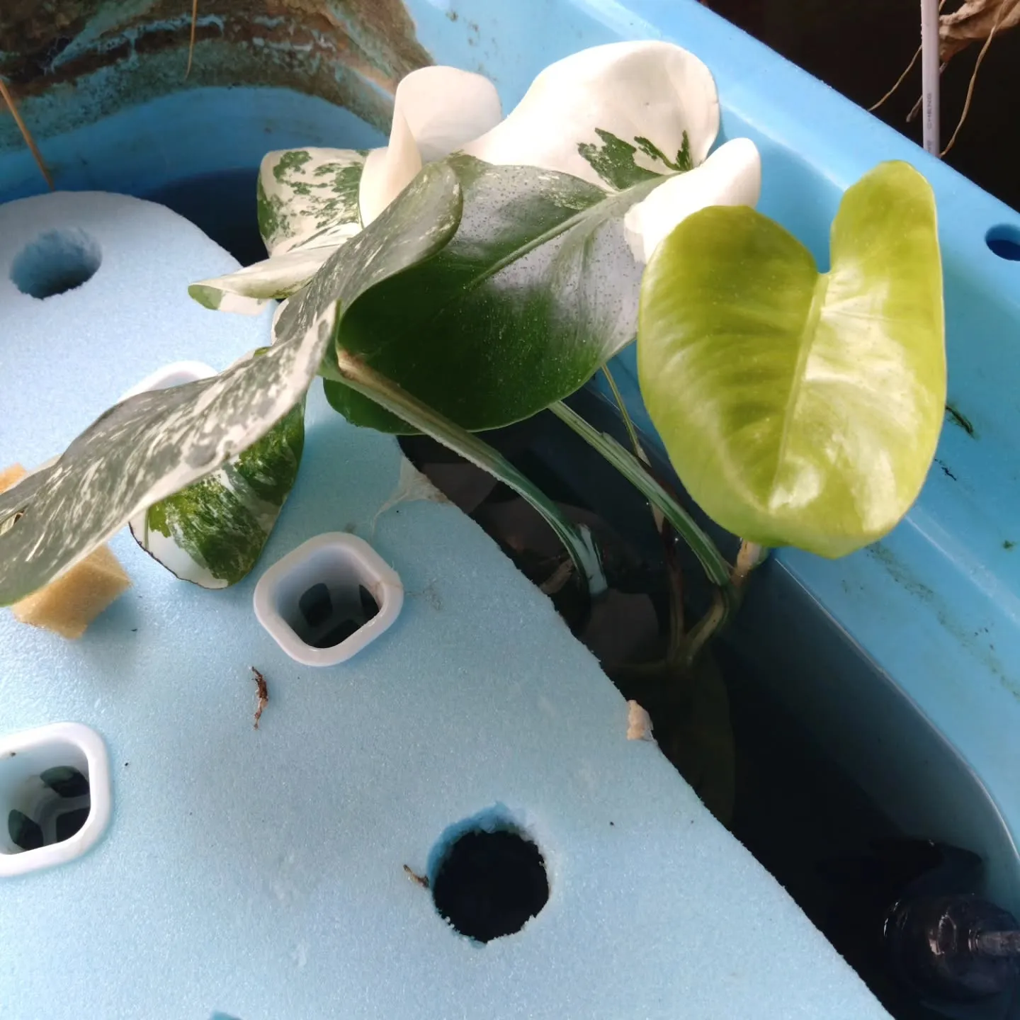 別にサイネージだけやってるわけじゃないんですよ