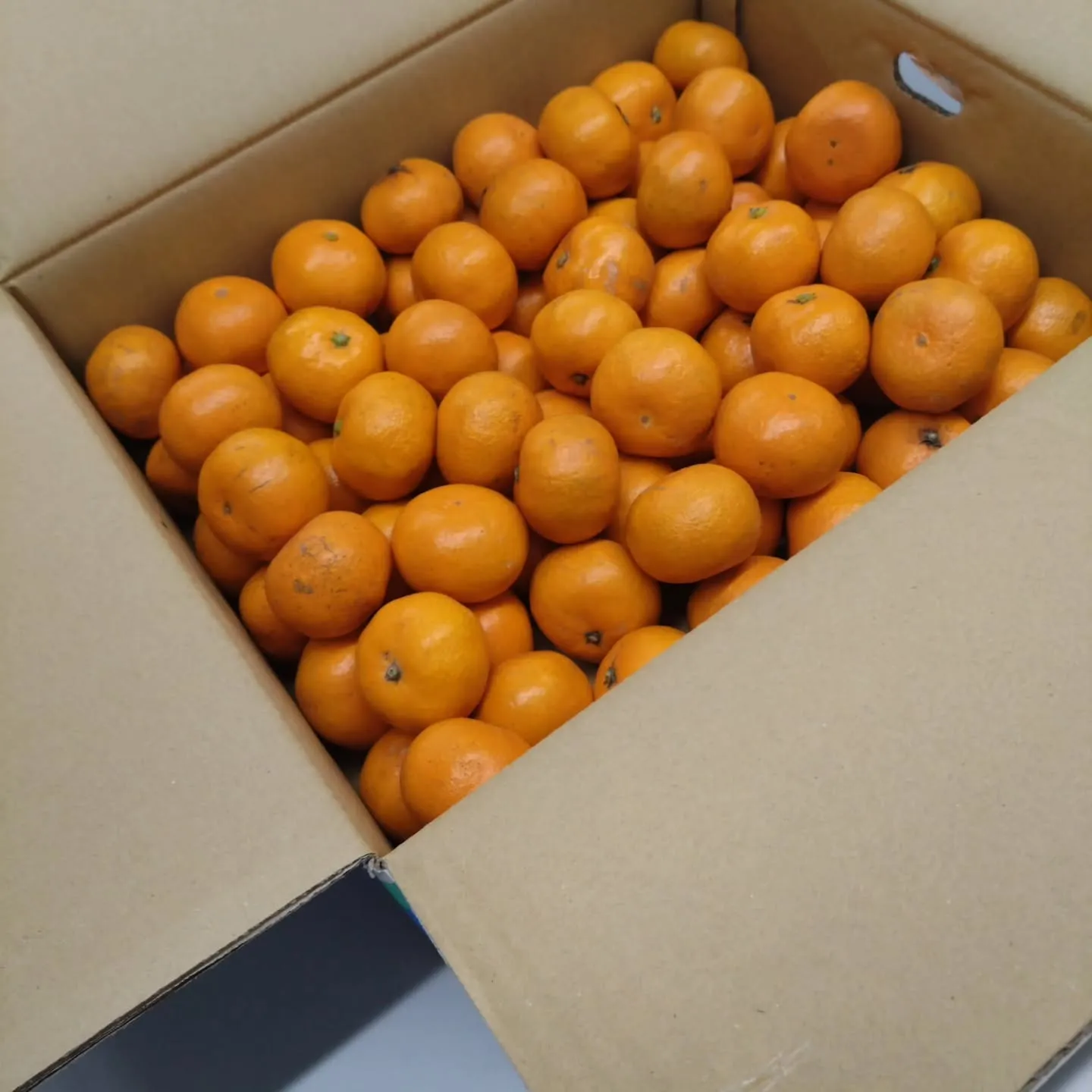 本日は、商工会議所青年部【安城YEG】の、第2回広報ブランデ...