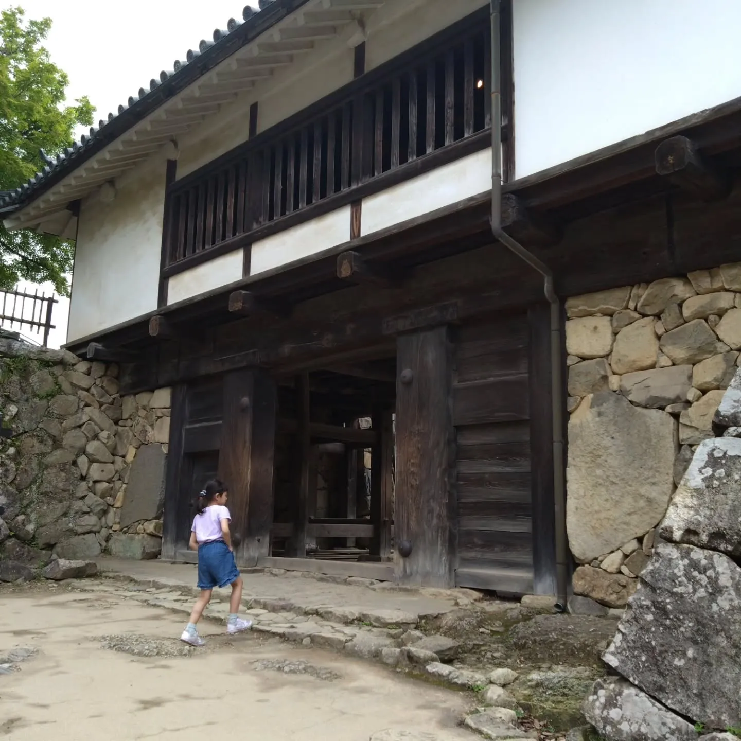 初の滋賀県