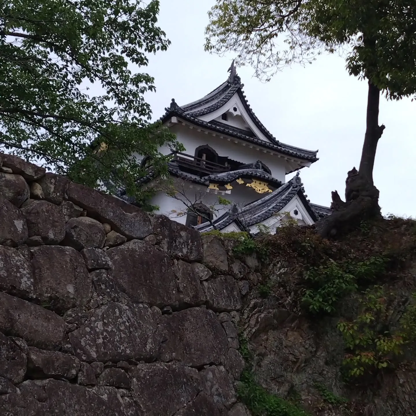 初の滋賀県